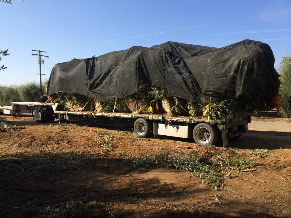 GRASS TARP – Marco's Truck Tarps